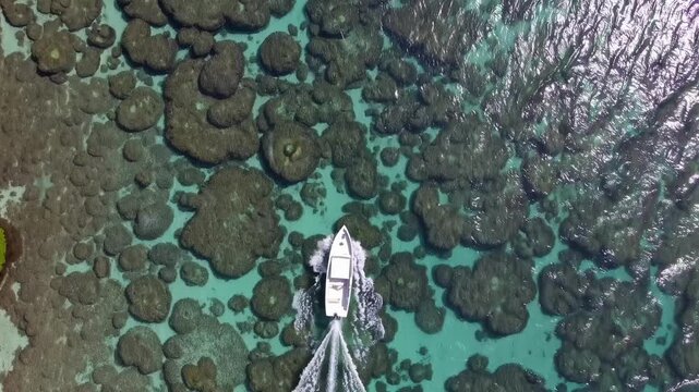 Aerial view of white yacht cruising turquoise ocean waters above vibrant coral reefs and rock formations, tropical paradise seascape, clear blue lagoon adventure