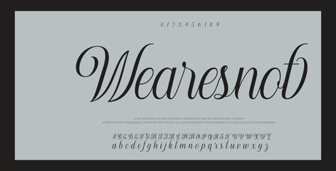 Fototapeta premium Script Elegant Signature Typeface. Lettering signature font isolated on grey background. brus style alphabet. Vector logo letters.