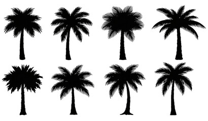 Hand drawn palm tree black silhouette vector set isolated on white