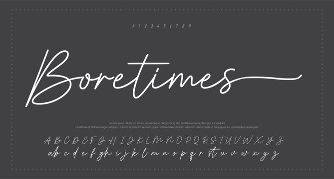 signature Font Calligraphy Logotype Script Brush Font Type Font lettering handwritten. vector illustration  