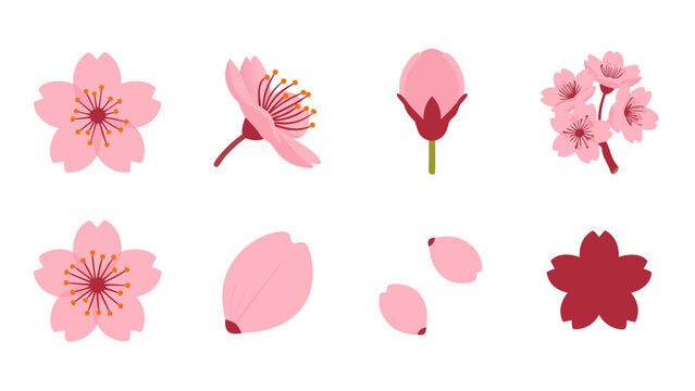 Collection of pink cherry blossom elements including flowers, buds, and petals