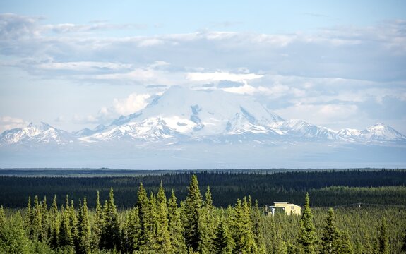 Taiga landscape with forest and high glaciated mountain peak Mount Sanford, Wrangell Mountains, Alaska, USA
