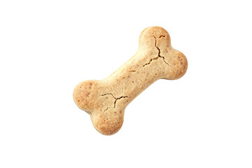 Single Bone-shaped Dog Treat Cookie on White