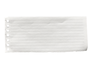 Rectangular piece of ruled notebook paper with perforated edge and torn bottom on white.