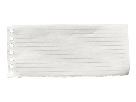 Rectangular piece of ruled notebook paper with perforated edge and torn bottom on white.