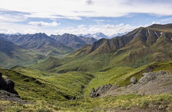 Tundra and mountainous landscape of the Alaska Range, Sable Pass, Denali National Park and Preserve, Alaska, USA