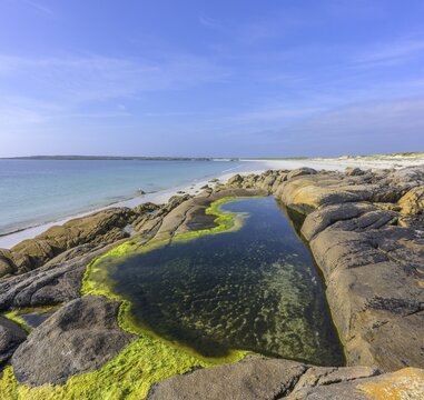 Tide pools with green algae on Gurteen Beach, Roundstone, County Galway, Ireland