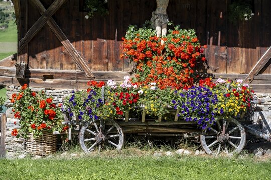 Colourful floral decorations and crucifix at a rustic alpine hut, Ridnauntal, South Tyrol, Italy