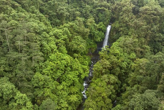 Aerial view, waterfall in the rainforest, Catarata de la Paz, La Paz Waterfall Gardens Nature Park, Alajuela Province, Costa Rica