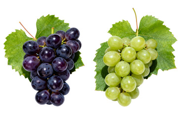Fototapeta premium Two bunches of grapes, purple and green, with leaves