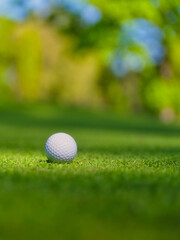 Obraz premium Vertical close-up of a golf ball on green grass under bright sun. Selective focus with blurred bokeh background.