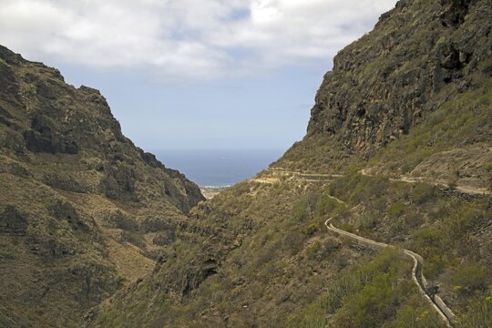 Barranco del Infierno, Gorge of Hell, behind Adeje, Tenerife, Canary Islands, Spain