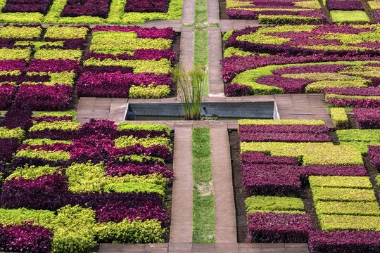 Flowerbeds and plants laid out as samples, Funchal Botanical Garden, Jardim Botanico, Madeira, Portugal
