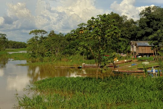 Traditional houses of a caboclos tribe along the (Amazona) river, Amazon state, Brazil