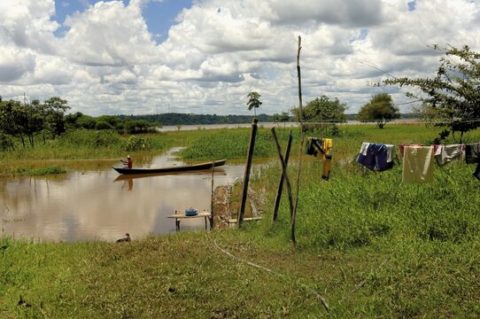 Man of caboclos tribe paddling in his canoe (Amazona) river, Amazon state, Brazil