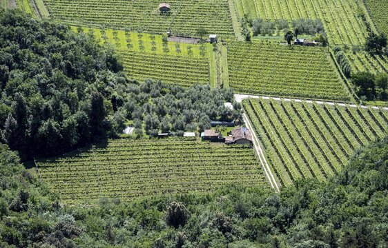 Fields and small huts from above, Sarca Valley, Garda Mountains, near Dro, Arco, Trentino-Alto Adige, Italy
