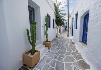 White Cycladic houses with cacti, narrow streets of Parikia, Parikia, Paros, Cyclades, Greece