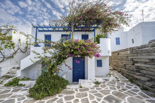 White Cycladic houses with pink bougainvillea, narrow streets of Parikia, Parikia, Paros, Cyclades, Greece