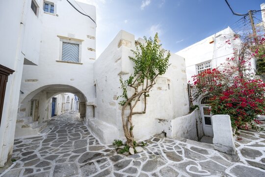 White Cycladic houses with bougainvillea, small streets of Parikia, Parikia, Paros, Cyclades, Greece