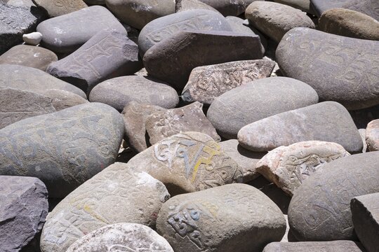Mani stones with the engraved Tibetan mantra Om Mani Padme Hum, Ladakh, Jammu and Kashmir, India