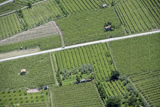 Fields and small huts from above, Sarca Valley, Garda Mountains, near Dro, Arco, Trentino-Alto Adige, Italy