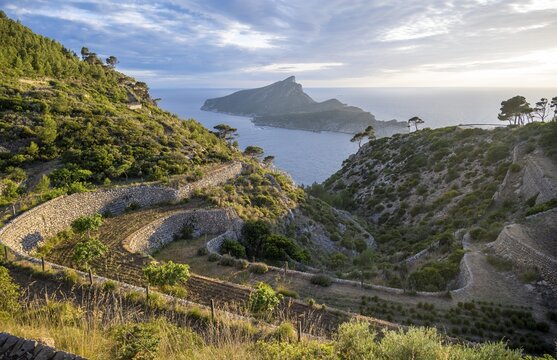Mountains and coast with sea, at sunset, Old Farm La Trapa, back island Sa Dragonera, Majorca, Spain