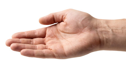 Close-up of Open Male Hand with Palm Upward and Fingers Outstretched Isolated on White Background