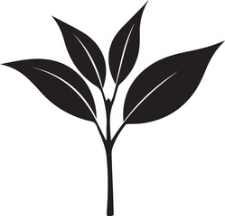 Vector silhouette of a plant with four leaves sprouting from a central stem illustration