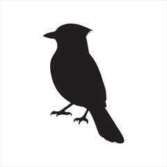 Blue jay bird silhouette vector 