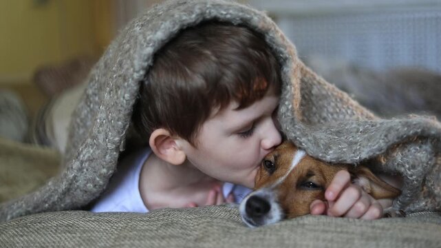 Cute child  huggind and kissing Jack Russell dog.