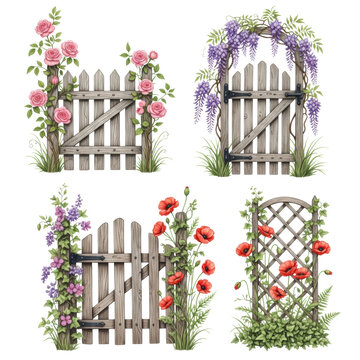 photorealistic studio photography of four isolated watercolor illustrations featuring rustic wooden fences, gates, and trellis, covered in pink roses and purple wisteria on white, concept of charming