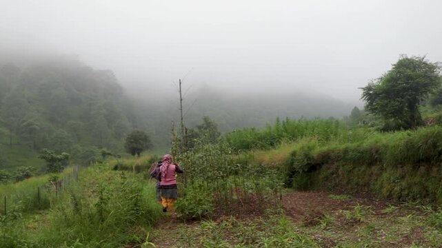 Women Farmers Collecting Grass for Cattle in Mountain Village