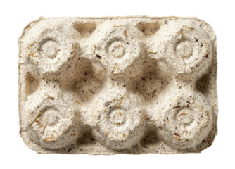 Molded pulp packaging tray isolated. Recycled paper texture.