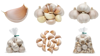 a collection of fresh garlic bulbs and cloves on transparent background