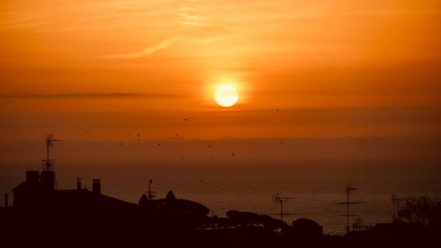 Panoramic banner of birds flying at sunset over the ocean with city silhouettes