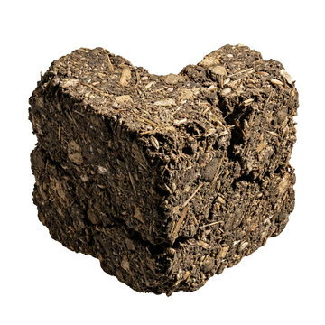 Heart shaped compressed earth block isolated. Sustainable soil symbol.