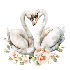 Swans creating a heart shape surrounded by roses on a transparent background