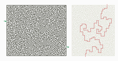 Complex vector maze puzzle with highlighted solution path