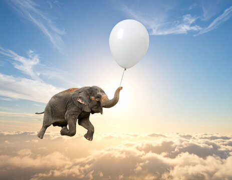 Elefant hält Luftballon und fliegt in den Himmel