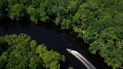 Dense lush green forest with Waccamaw river in South Carolina near Myrtle beach used for fishing, boating, kayaking in natural peaceful environment outdoors 