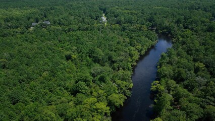 Dense lush green forest with Waccamaw river in South Carolina near Myrtle beach used for fishing, boating, kayaking in natural peaceful environment outdoors 