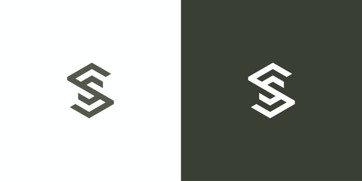 Minimalist Geometric S S Hex tech logo