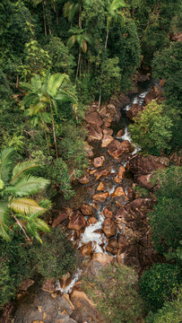Aerial view of the Barron River cascading through the lush, emerald rainforest, a symphony of greens and browns under the Australian sun., Queensland, Queensland, Australia.