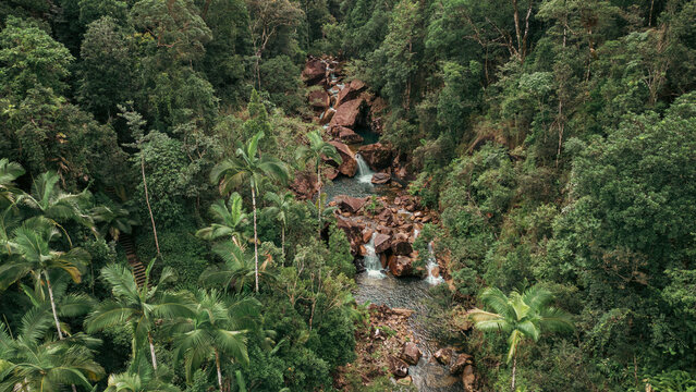 Aerial view of a vibrant, emerald rainforest cascading down rocky slopes, punctuated by the swift, silver ribbon of a creek, Kuranda, Queensland, Australia.