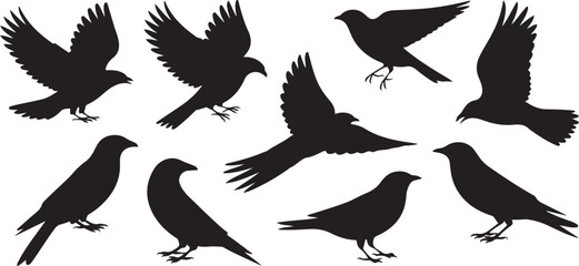 Obraz premium Set of Badge templates. silhouette vector illustration with white background.