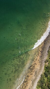 Aerial view of turquoise waters meeting the sandy shore, with hints of green foliage completing this coastal scene, Noosa Heads, Queensland, Australia.