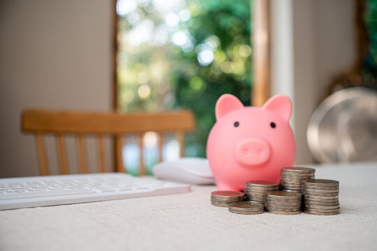 Savings for investing in business. The concept of setting goals for savings. Setting goals for fixed deposits with banks. The concept of insurance for savings limits..