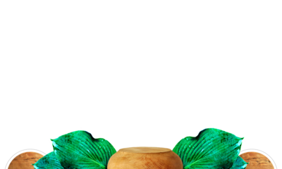 Realistic wooden podium and large Hosta leaves, symmetrical arrangement, wood details, greenery. Sustainability and modernity in one. Empty space, conceptual basis for displaying various products. PNG