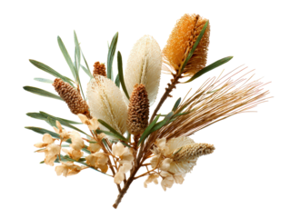 Beautiful arrangement of native Australian flowers and foliage, showcasing unique textures and colors, perfect for nature
