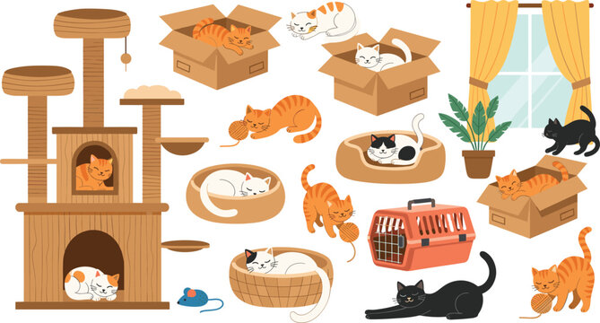 Cute Cat Care Illustration Set with Sleeping Cats, Boxes, Scratching Tree and Pet Accessories Flat Vector